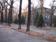 улица М.Толебаева